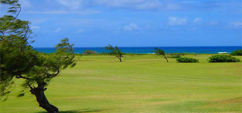 Kahuku Golf Course Beach Hawaii