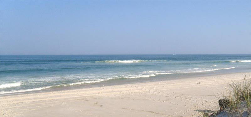 Island Beach State Park in New Jersey