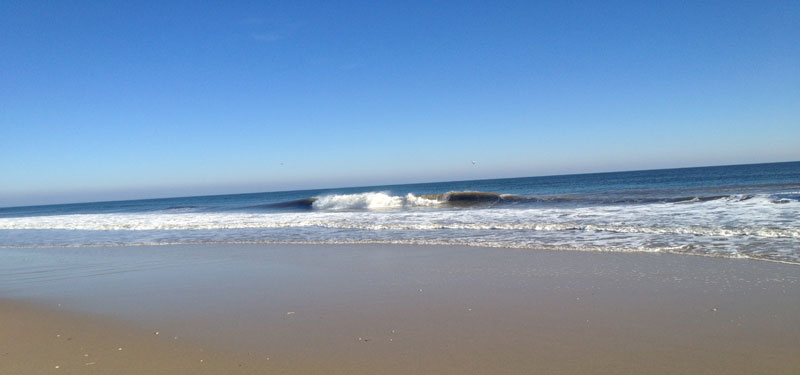 Sandy Hook Beach in New Jersey