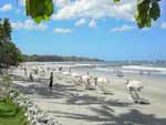Playa Tamarindo Beach Side Hotels Costa Rica