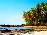 Agonda Beach Side Hotels Goa