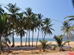 Baina Beach Side Hotels Goa