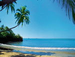 Candolim Beach Side Hotels Goa