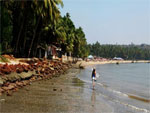 Coco Beach Side Hotels Goa