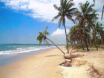 Majorda Beach Side Hotels Goa