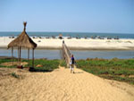 Mandrem Beach Side Hotels Goa