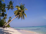 Tanjung Gelam Beach Side Hotels Java