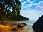 Nosy Mangabe Beach Side Hotels Madagascar