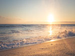 Strand Zuid Beach Side Hotels Netherlands