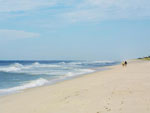 Cooper's Beach Side Hotels New York