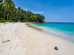 Freedom Beach Side Hotels Phuket