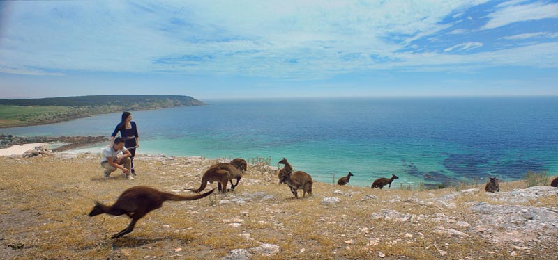Kangaroo Island Beach Australia