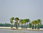 Nijhum Dwip Beach Bangladesh