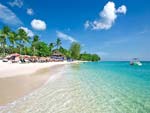 Mullins Bay Beach Barbados