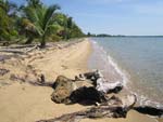 Sabal Beach Belize