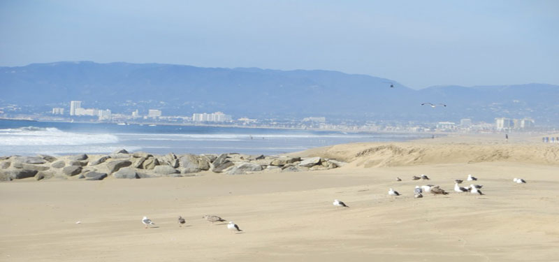 El Segundo Beach in California