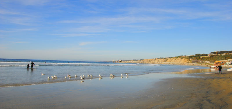 La Jolla Shores Beach in California