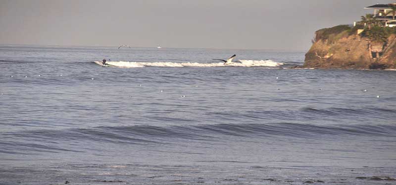 Tourmaline Surfing Park Beach in California