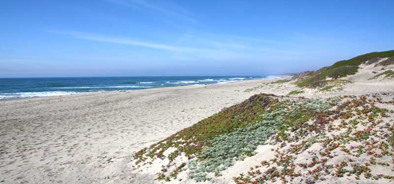 Zmudowski State Beach in California