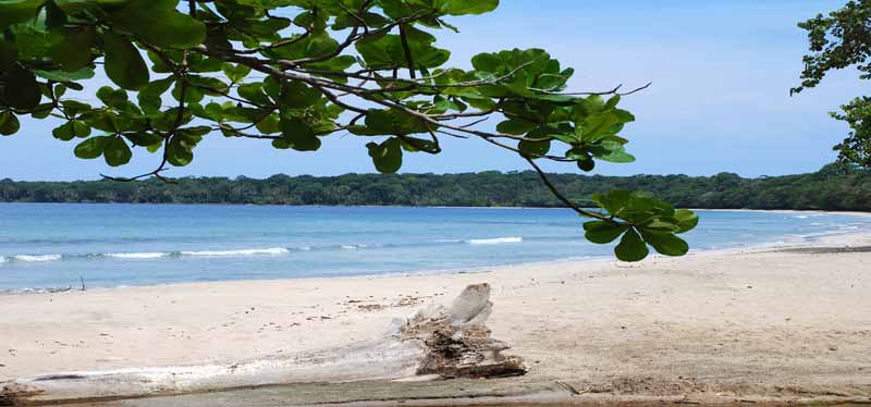 Cahuita National Park Beach Costa Rica