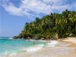 Playa Grande Beach Costa Rica