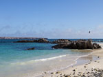 Genovesa Island Beach Ecuador