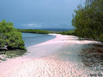 Pinta Island Beach Ecuador