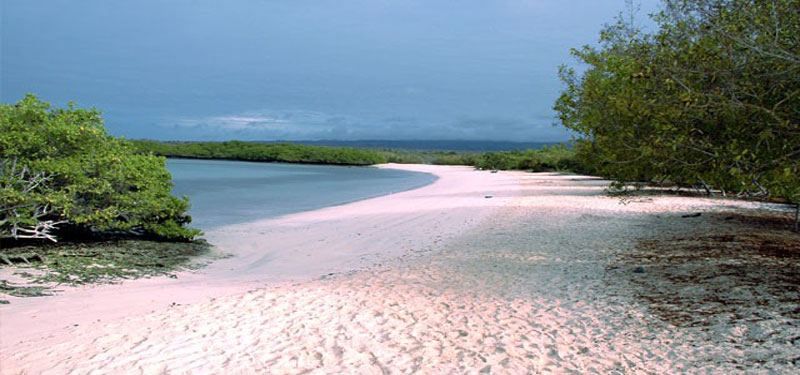 Pinta Island Beach Ecuador