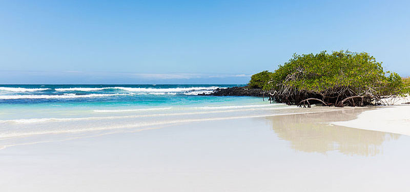 Santa Cruz Beach Ecuador