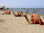 Gurgusum Beach Eritrea