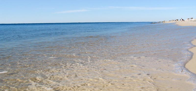 Perdido Key Beach Florida