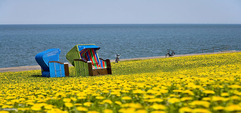 Pellworm Beach Germany