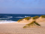 Sylt Beach Germany