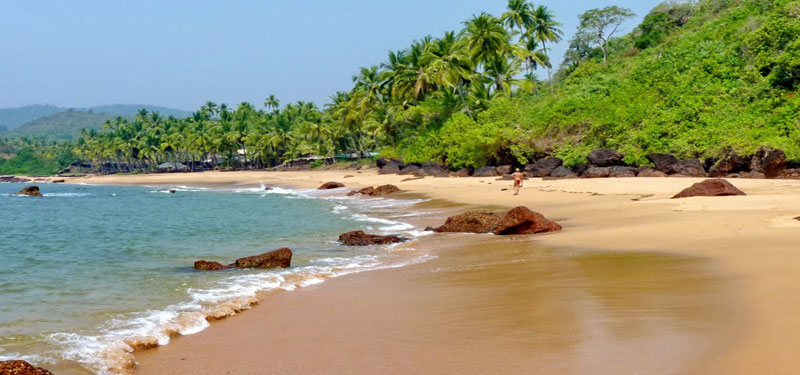 Cola Beach Goa