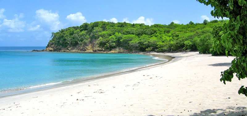 Anse La Roche Beach Grenada