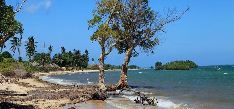 Bolama Island Beach Guinea Bissau