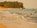 Varela Beach Guinea-Bissau