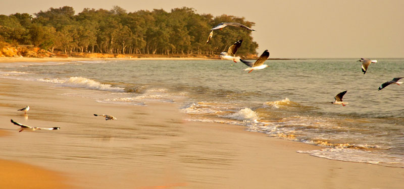 Varela Beach Guinea Bissau