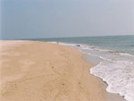 Balachadi Beach Gujarat