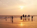 Mandvi Town Beach Gujarat