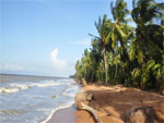 Shell Beach Guyana
