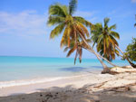 Port-Salut Beach Haiti