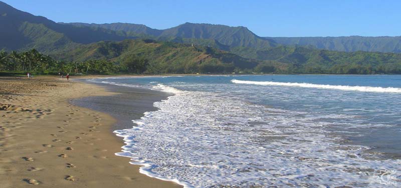 Black Pot Beach Hawaii