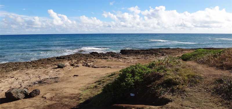 Camp Harold Erdman Beach Hawaii