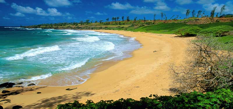 Donkey Beach Hawaii