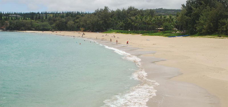 D.T. Fleming Beach Park Hawaii