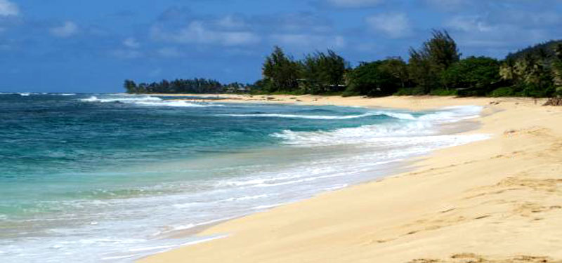 Ehukai Beach Park Hawaii