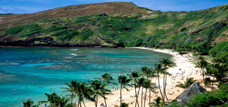 Hanauma Bay Nature Preserve Beach Hawaii