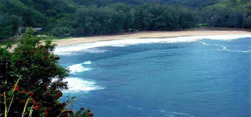 Kalihiwai Beach Hawaii