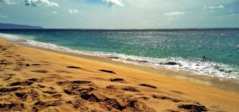 Kawailoa Beach Hawaii